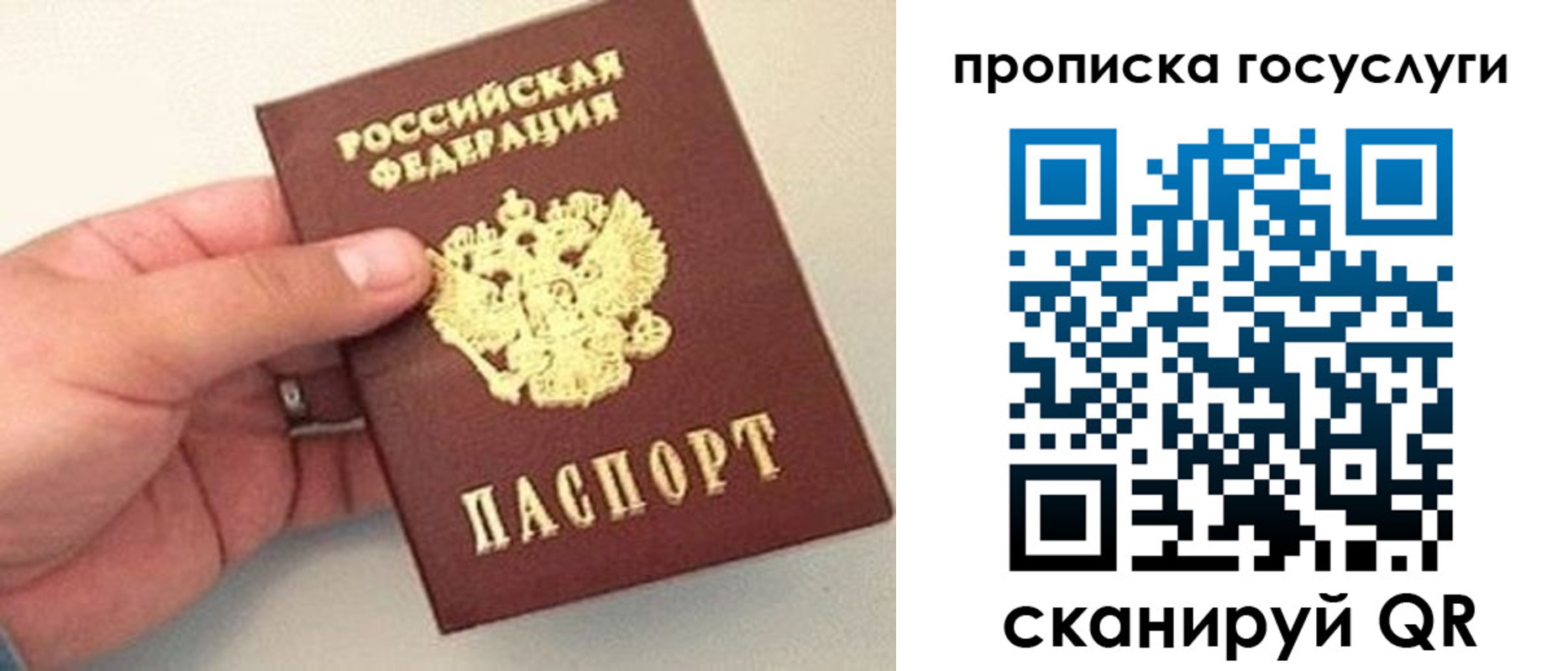 где прописаться в Химках