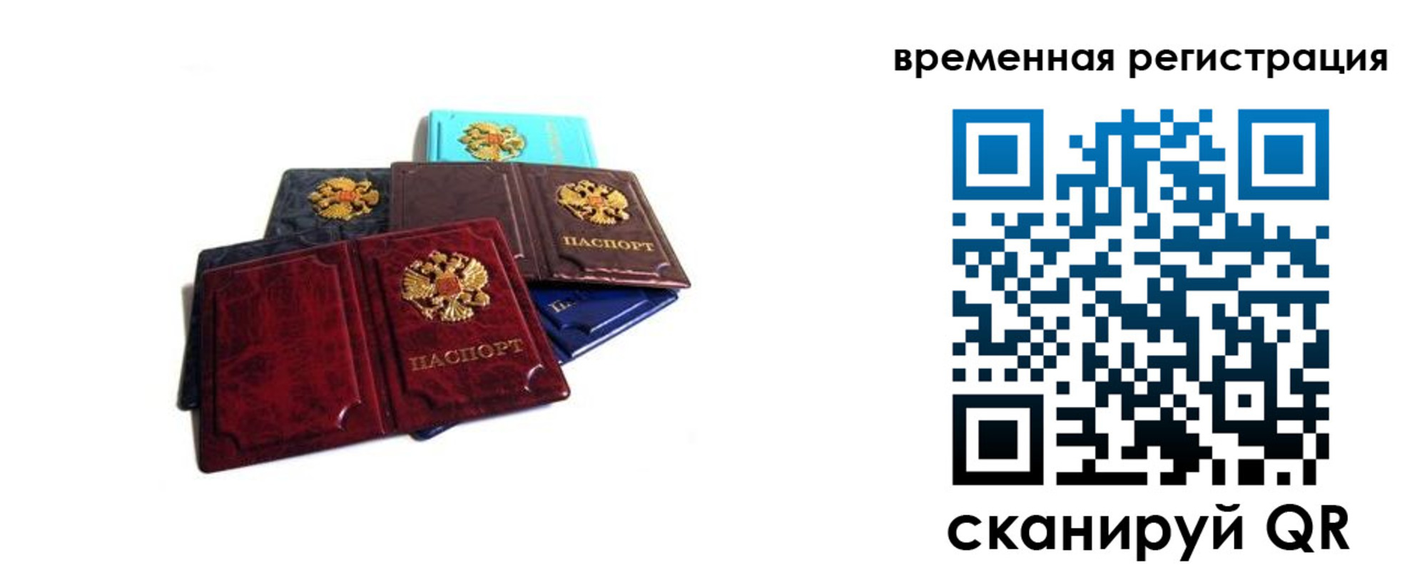 прописка для работы в Химках